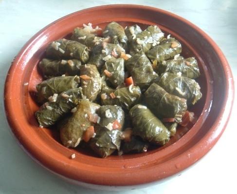 dolma dalya - folhas de videira recheadas de tomate e pimenta argelino