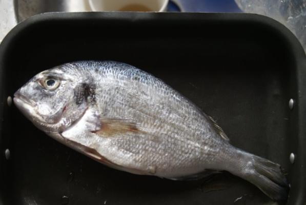 peixe assado (por exemplo: pargo)