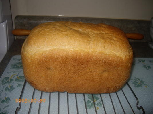 pão de trigo integral branco para o abm