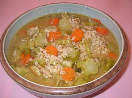 sopa de toco