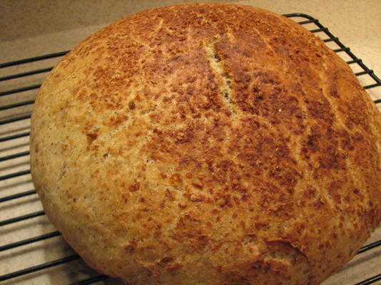 sem amassar pão de semente de linho sourdough