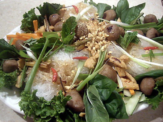 a salada vietnamita de lorie, estilo hanoi