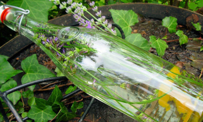 vodka perfumada e infundida de lavanda