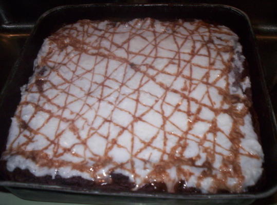 bolo de chocolate com creme de coco sem glúten