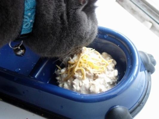 refeição felina rica em vitamina (comida de gato)