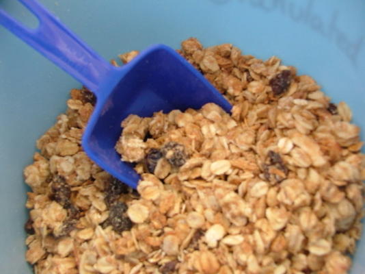 granola de passas de canela