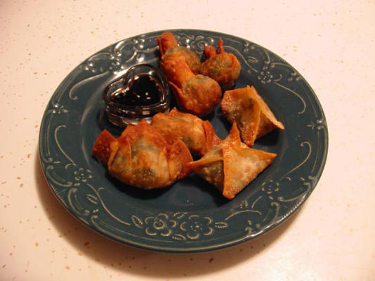 wontons de espinafre